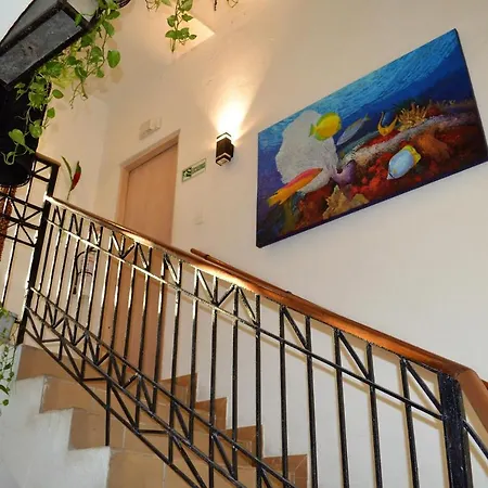 Balcones De Alheli